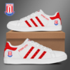Stoke City FC  Skate New Shoes TS20
