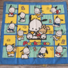 Pochacco 7 Blanket